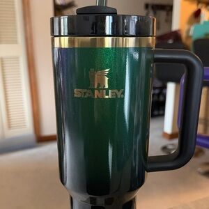 BRAND NEW 2024 Wicked Elphaba Stanley